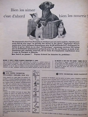 PRESSEWERBUNG 1962 CANIGOU ET RONRON DACKEL ET CHATS CATONS - ADVERTISING