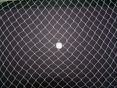 100' x 12' Baby Quail / Blue Berry Net 3/8'' #139 Break/Point 35/140 Lbs Per Mesh