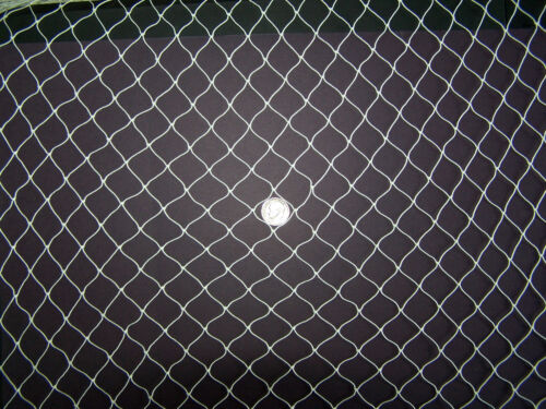 25' x 12'  Blueberries Tree Fruit Protected Netting Small  3/8" (HOLE)  #139  - 第 1/1 張圖片