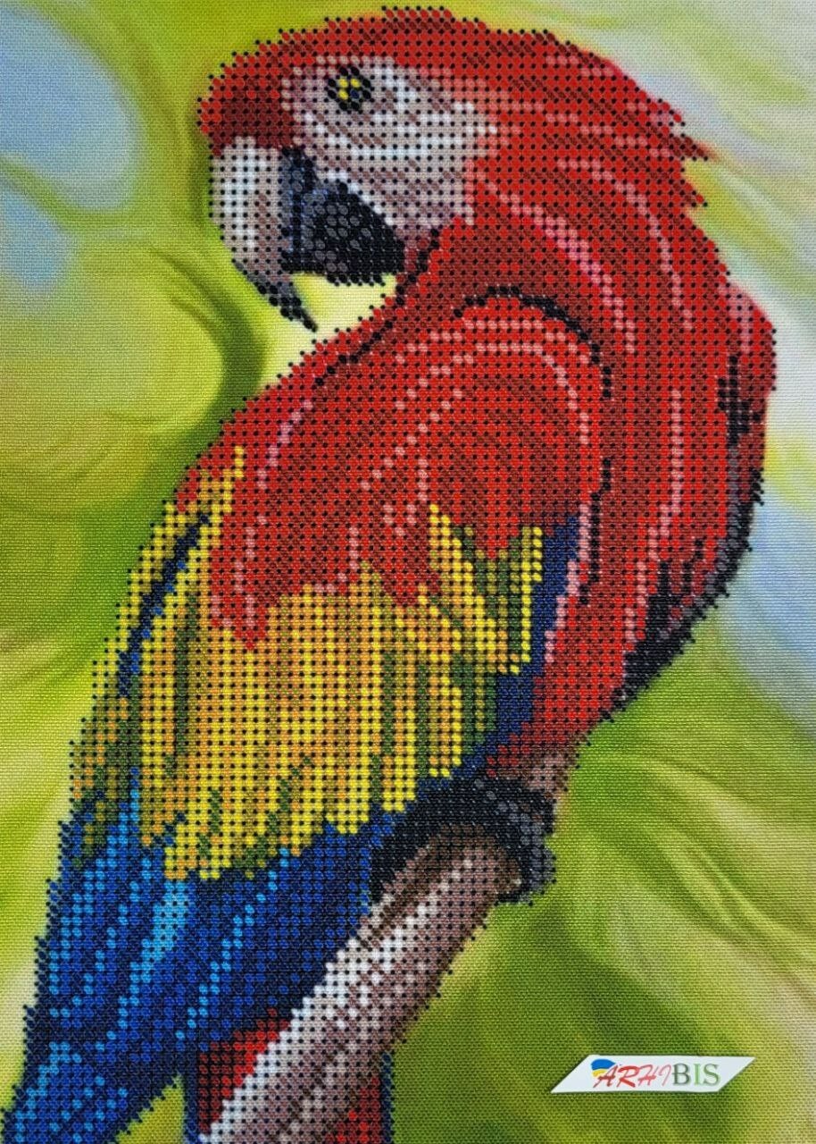 Bild 1 von 17