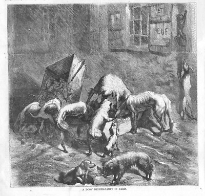 dressed up like a dog's dinner origin A Dogs' Dinner Party in Paris - Franco Prussian War - 1871 Historical Print