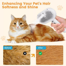 3in1 Pet Steam Brush Dog Hair Brush Cat Hair Brush Electric Steam Spray  /