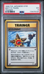 Misty's Tears (Banned Art) - Japanese Leaders' Stadium Trainer