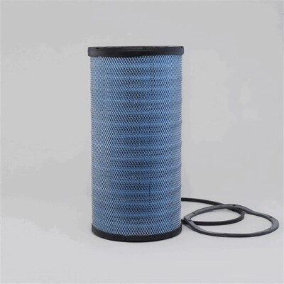 Donaldson Blue DBA5101 Air Filter, Primary
