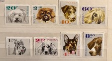 Poland 1969 Dogs MNH Stamps Complete Set