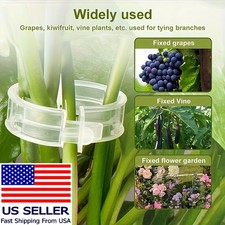 100Pack Reusable Transparent Plant Fasteners Adjustable Vine Clips for GardenUse