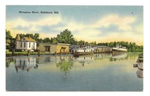 SALISBURY-MD-Wicomico-River-Boats-at-Dock-Vtg-Postcard