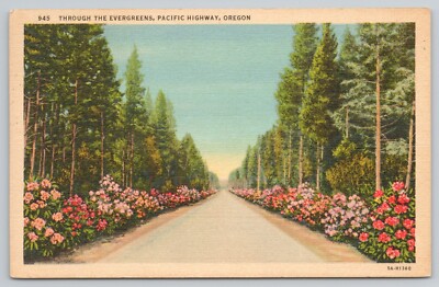 1940 Through the Evergreens Pacific Highway Oregon Linen Postcard