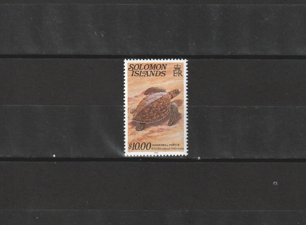 Foto 1 di 1