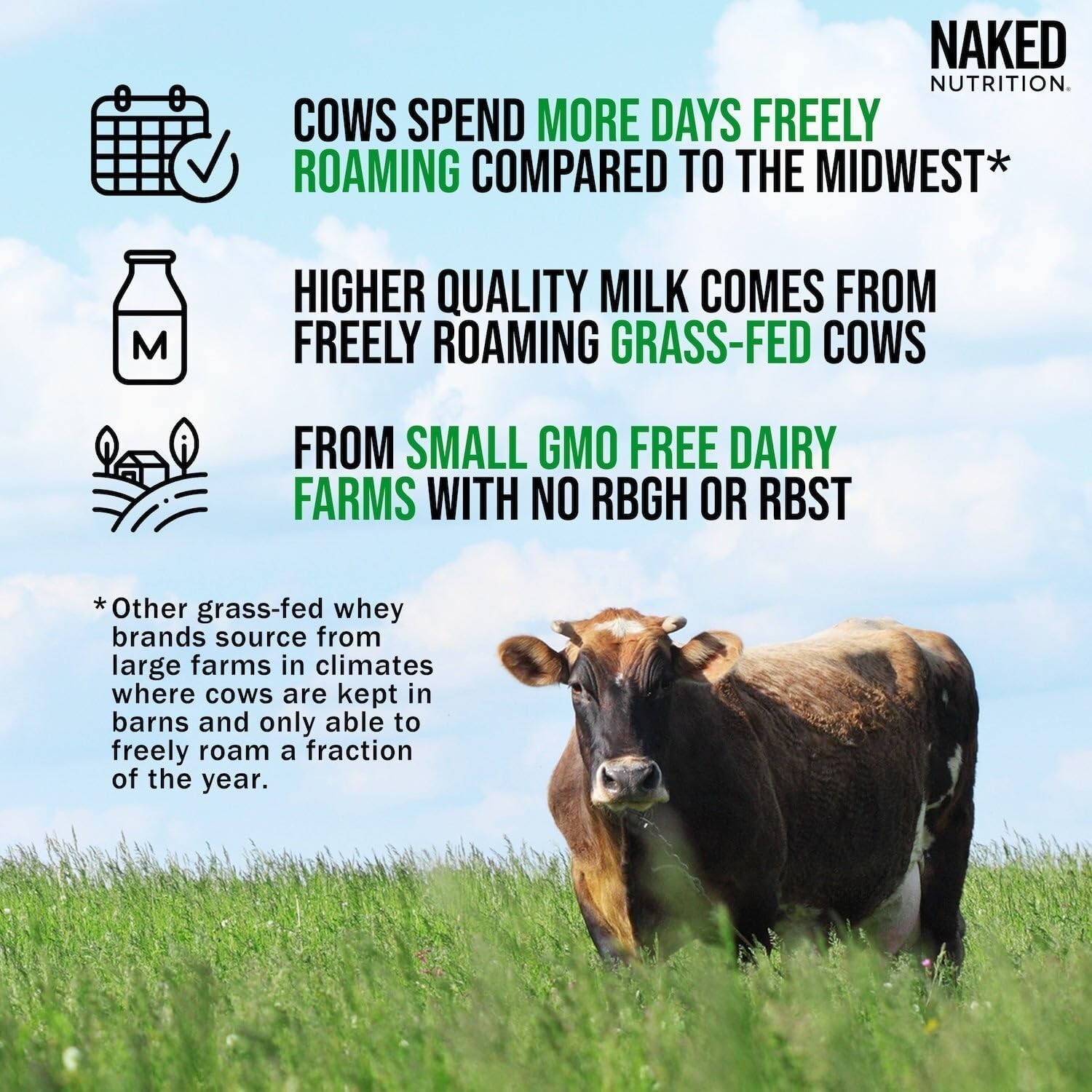 Naked Whey Chocolate Protein Powder, Only 3 Ingredients, Grass Fed Whey Protein