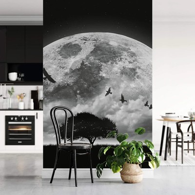 Riesige Fototapete aufgehende Mondlandschaft schwarz silber Wandbild 384 x 260 cm