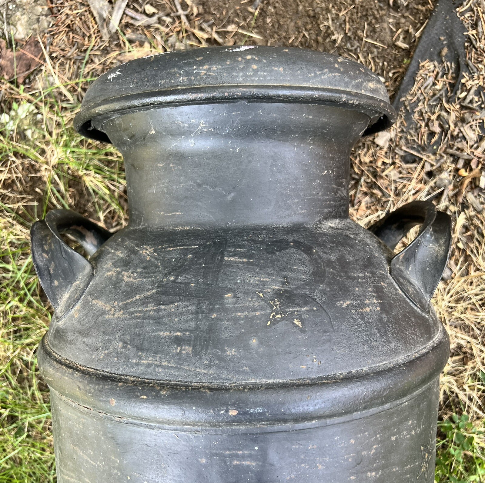 My Image 18