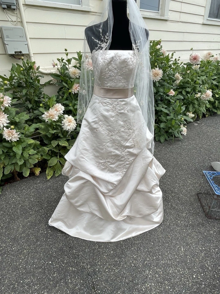 NUEVO CON ETIQUETAS VESTIDO DE NOVIA OLEG CASSINI CHAMPAGNE DE DAVID'S BRIDAL TALLA 6 CT203 Foto 2 de 4