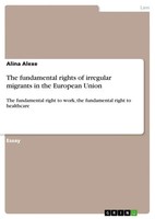Alina Alexe | The Fundamental Rights Of Irregular Migrants In The European Union