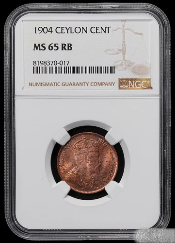 Ceylon (Sri Lanka) 1904 1 Cent King Edward VII Palm Tree NGC MS 65 RB Top Pop