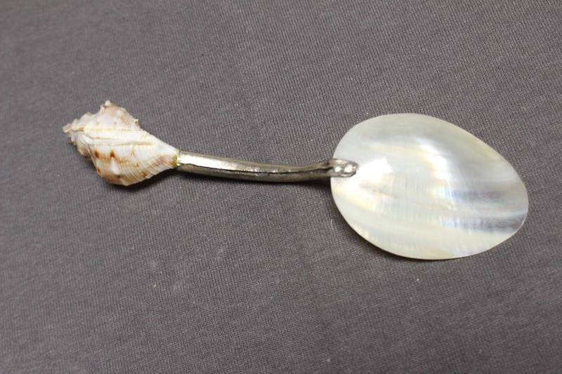 Vintage mother of pearl spoon with silver & shell handle