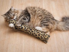 15" Catnip Cat Kicker Toy Catnip Kicker Toy filled with 1 oz Canadian Catnip