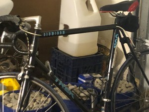 Trek 1100 Bike Hot Sale, 53% OFF 
