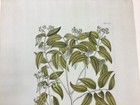 Picture 6 of 10