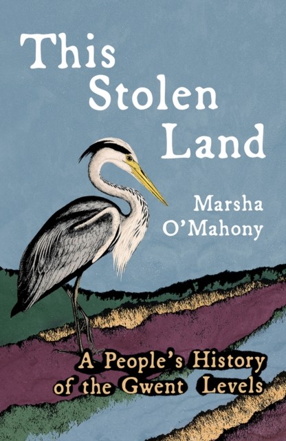This Stolen Land by Marsha O'Mahony (Paperback Book)