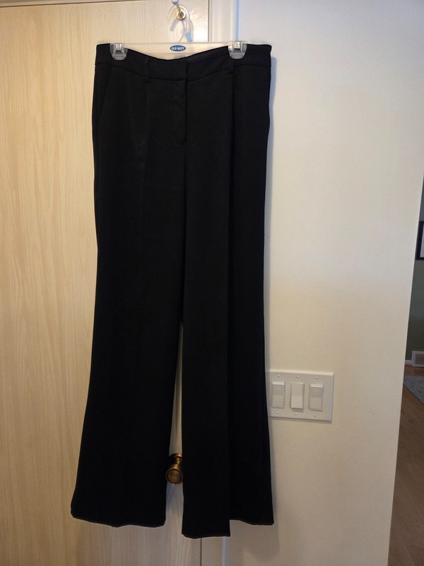 Express Pants, High Waist, Pleated,  Wide Leg, Size 8L, Black