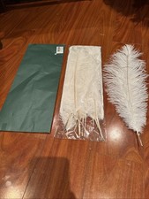 Exquisite Natural Ostrich Feathers Pack