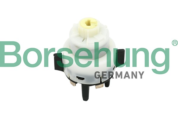 Borsehung B17961 Ignition Switch for AUDI,SKODA,VW
