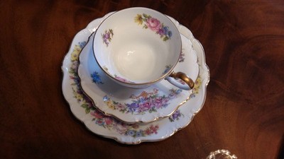 ROSENTHAL PORZELLAN -KAFFEESERVICE POMPADOUR  3-TEILIG MIT BLUMENMUSTER