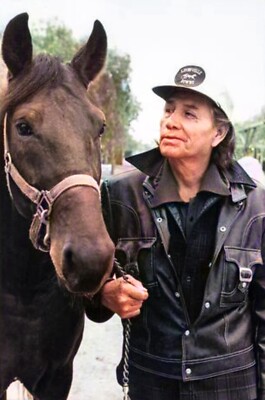 パーマネントバケーション　シェイキーハウンド s-l400.jpg