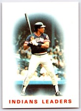 1986 Topps Tiffany Andre Thornton #336