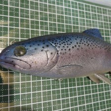 Huddleston Brook Trout 8" Lure 102g, Rare Soft Swimbait, Fishing Equipment