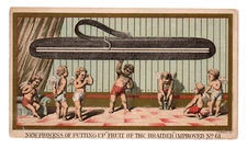 c.1890 Willimantic Fruit of Braider Alpaca Gold Medal Braid Trade Card Cherubs