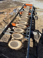 Black Walnut Live Edge Oval Slice Slab Cookie Unfinished Wood, Decorative Single