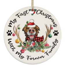 My First Christmas Border Collie Dog With Deer Anlters Ornament Gift Tree Decor