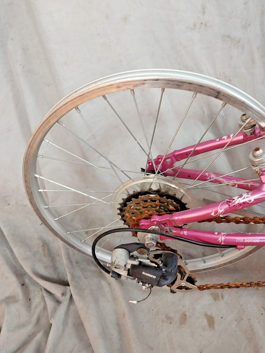 2005 Trek MT60 20
