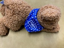 Eden Osh Kosh B'Gosh Teddy Bear Brown With Red Scarf Plush Stuffed Animal 12"