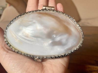 Authentic Mother of Pearl White Abalone Shell Trinket Box, pill or jewelry box