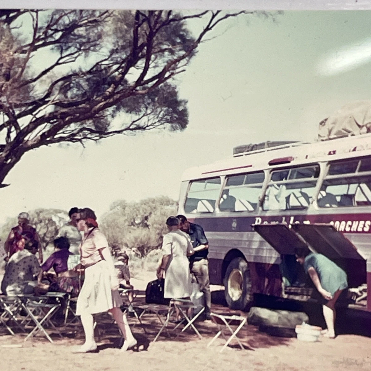 RETRO ORIGINAL Film Photo Slide 1960s Life Bus Coach Tour Australia Country Art