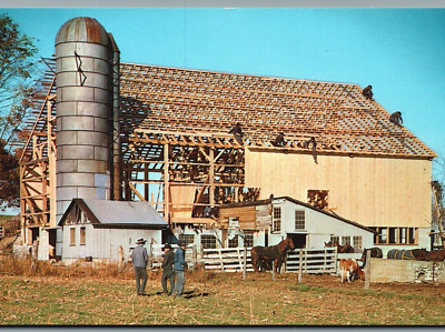 Amish Barn Raising 'Oldest Community Customs' VTG Standard PC-pc408/b
