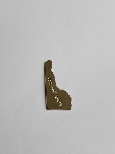 AVON State of Delaware Tie Tack Lapel Pin Gold Color Metal