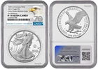 Photo of a 2025-P American Silver Eagle from an eBay listing that sold on Jul 22, 2026