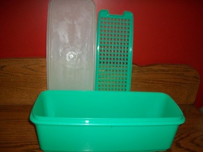 Tupperware Celery Keeper 782-5 Celery Veggie  Bread Keeper-NICE Ships FREE