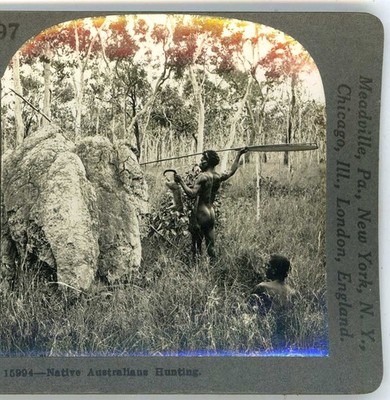  Native Australians Hunting with Spears Stereoview c1900