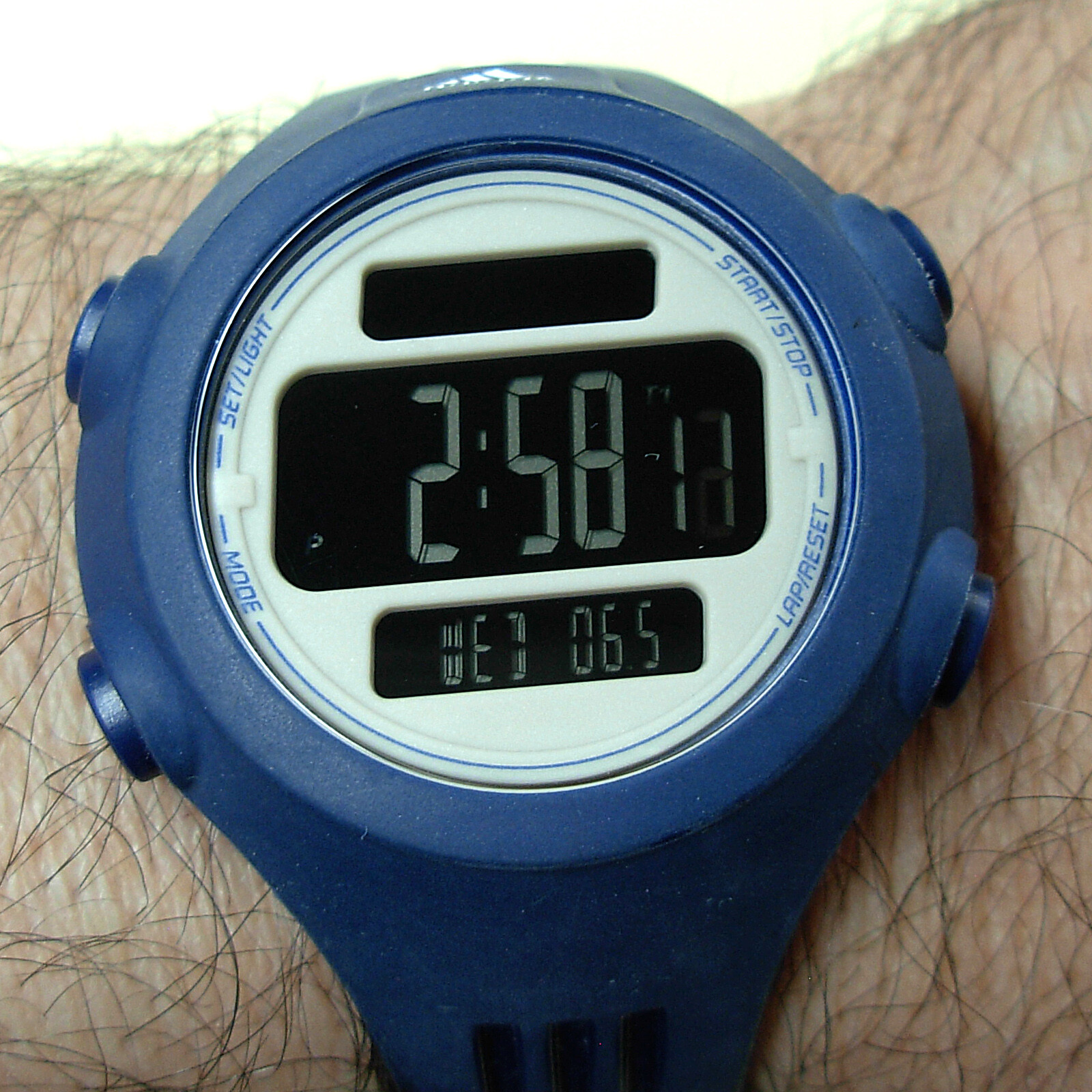 adidas questra watch