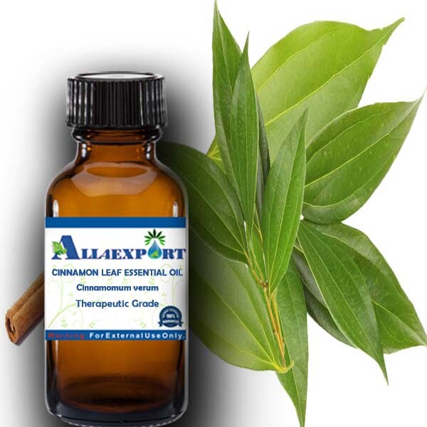 PURE CINNAMON LEAF ESSENTIAL OIL Cinnamomum verum NATURAL AYURVEDA