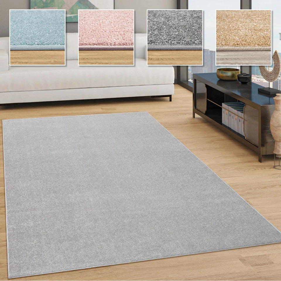 PACO HOME Tapis Salon Uni Sobre Et Moderne Poils Ras, Diff. Tailles/Coloris
