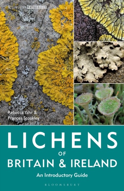 Lichens of Britain and Ireland by Dr Rebecca Yahr (Paperback Book) - Image 4