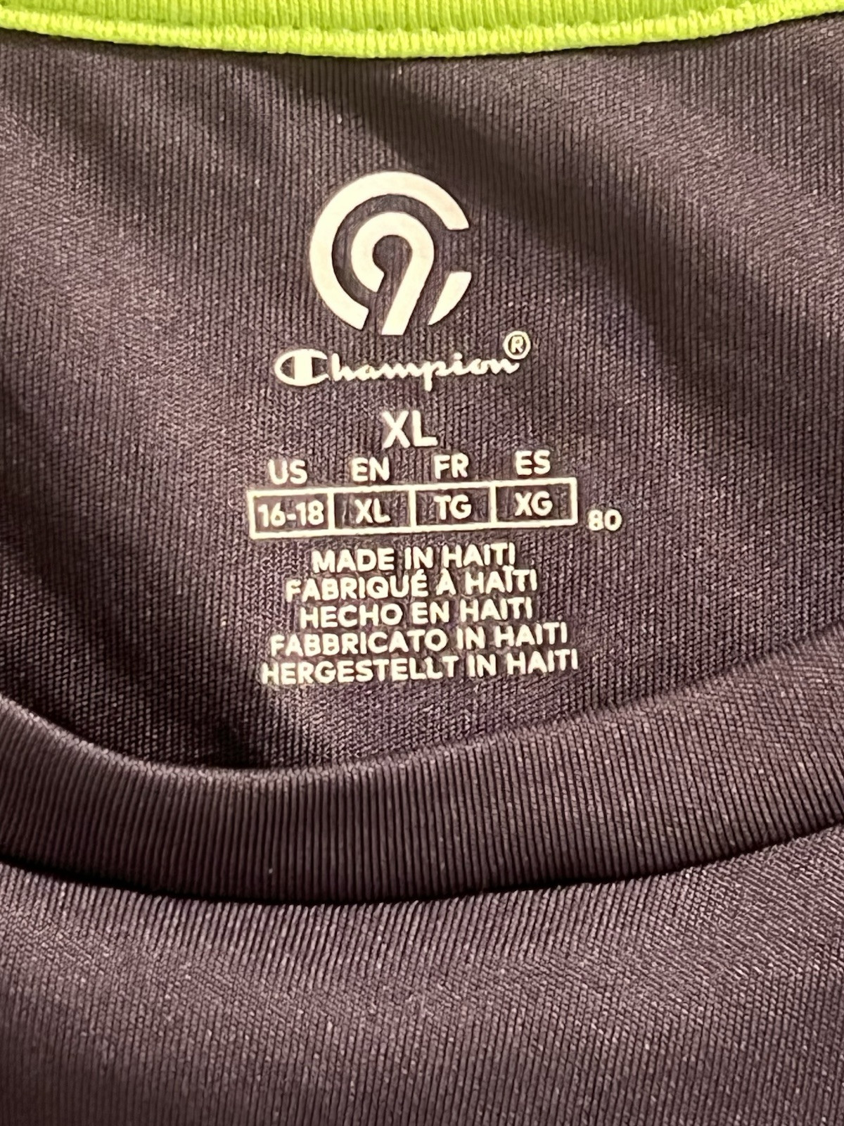 Champion T-Shirt Boys Youth XL Short Sleeve Athletic Sports wear Graphic Grey image 3