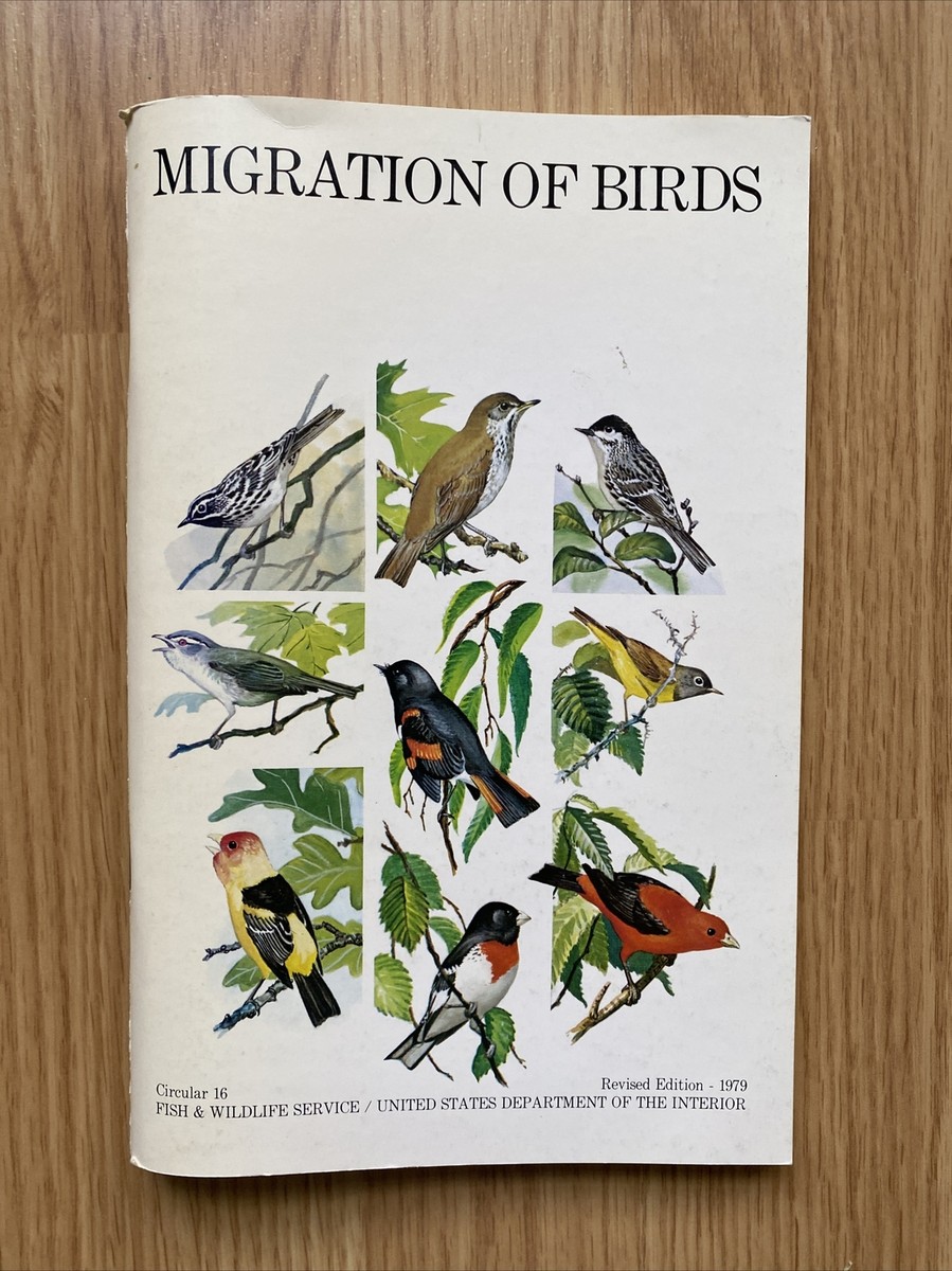 Migration of Birds Circular 16 Revised Edition 1979 ~ Fish