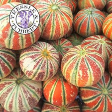 Kajari Melon fruit  Rare 8 seeds UK SELLER